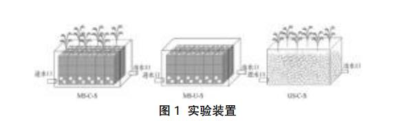 人工湿地处理农村生活污水