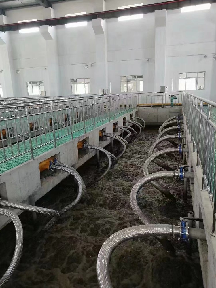 鱼类养殖废水处理