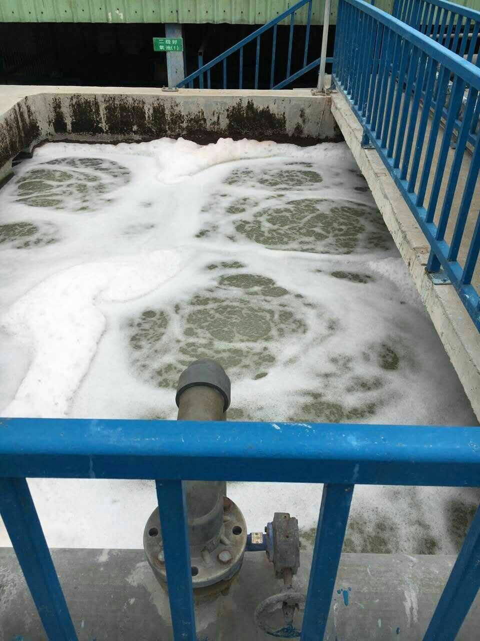 大豆蛋白废水处理设备