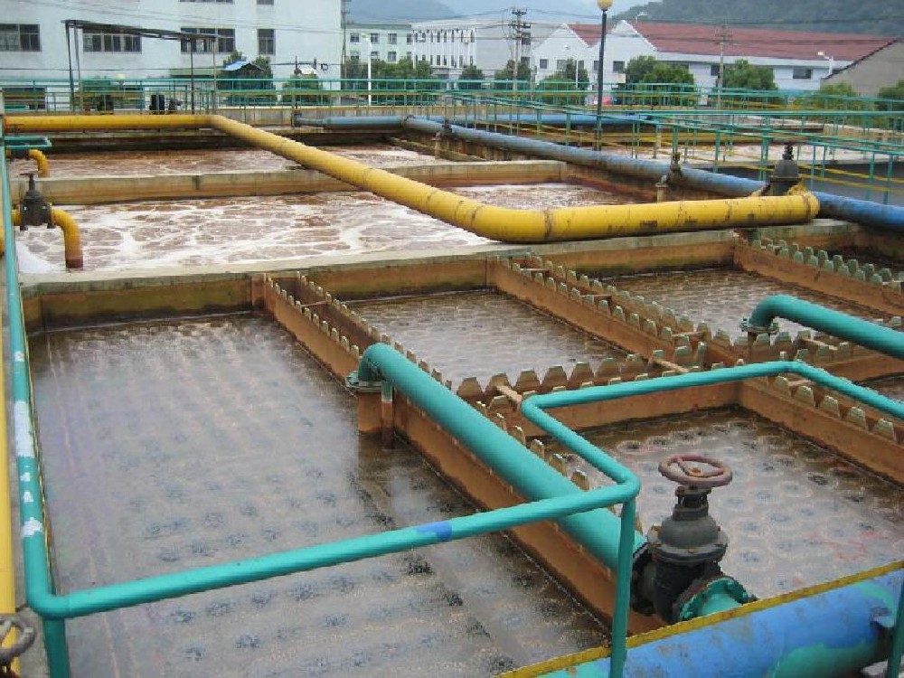 生姜加工厂清洗污水处理设备