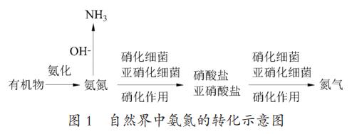 高氨氮废水处理技术