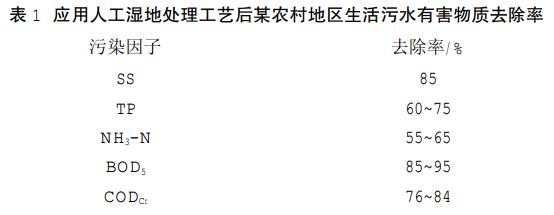 分散式农村生活污水处理技术